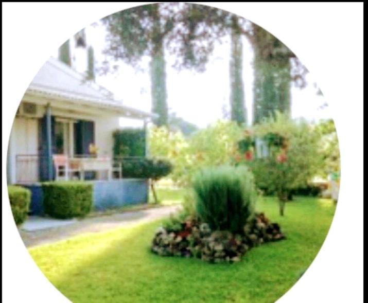 Villa Eirini's House Corfu Kynopiástai Exterior foto